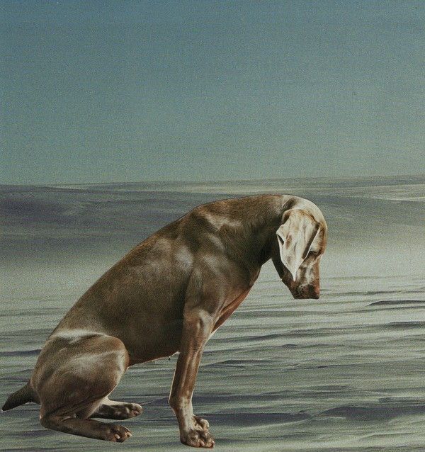 Page 11. "Dépêche toi maman est pressée".