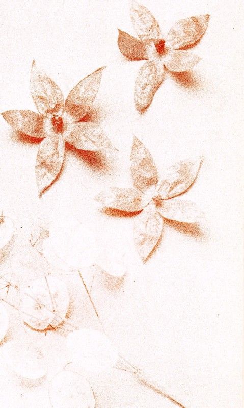 Page 10. Il paraît que je suis trop vieille.