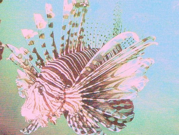 Page 15. Nouvelle séparation.